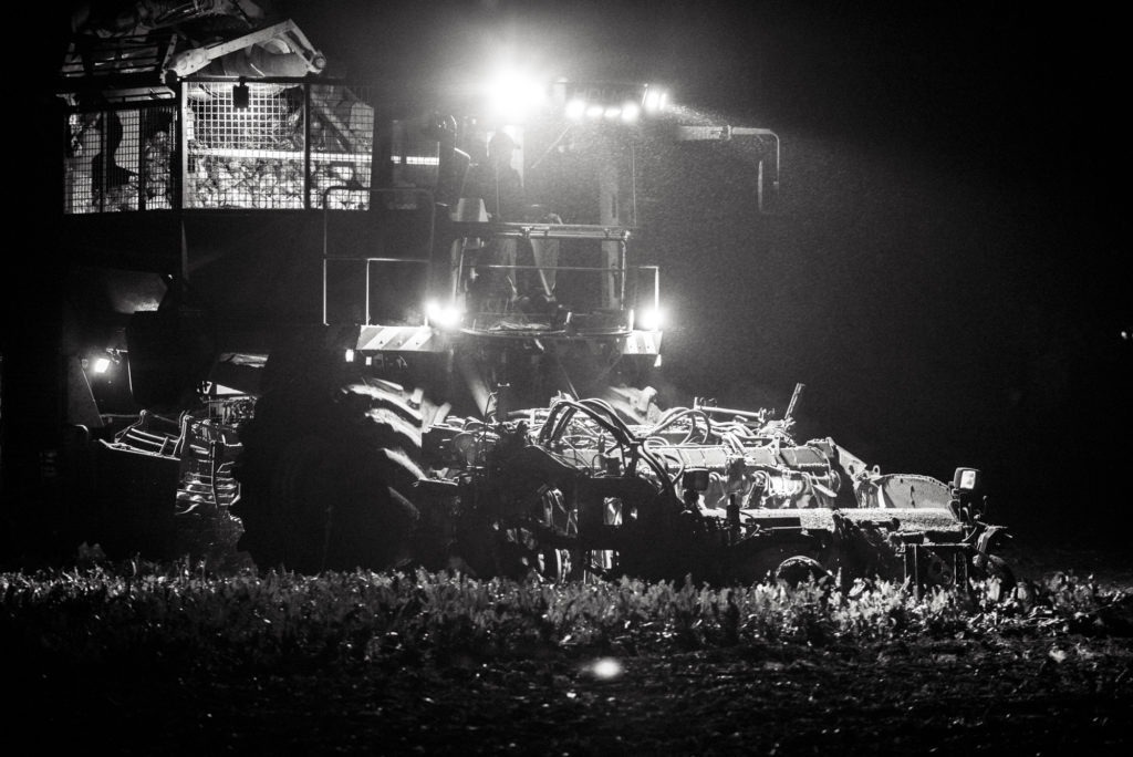 Rübenroder bei Nacht, Bilder aus der Landwirtschaft