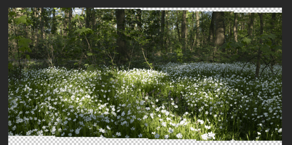 Ergebnis aus Photomerge bei der Erstellung von Panorama Fotos