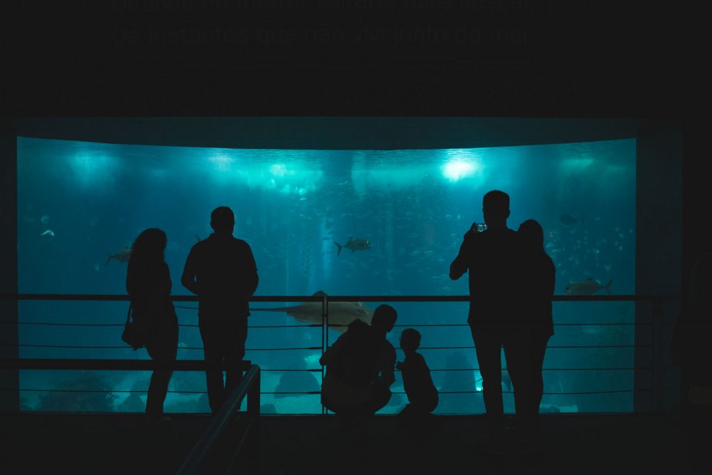 Aquarium Expo Lissabon